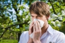 Jak unikać alergii?